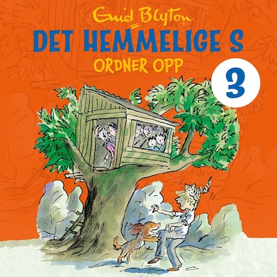 Det hemmelige S ordner opp