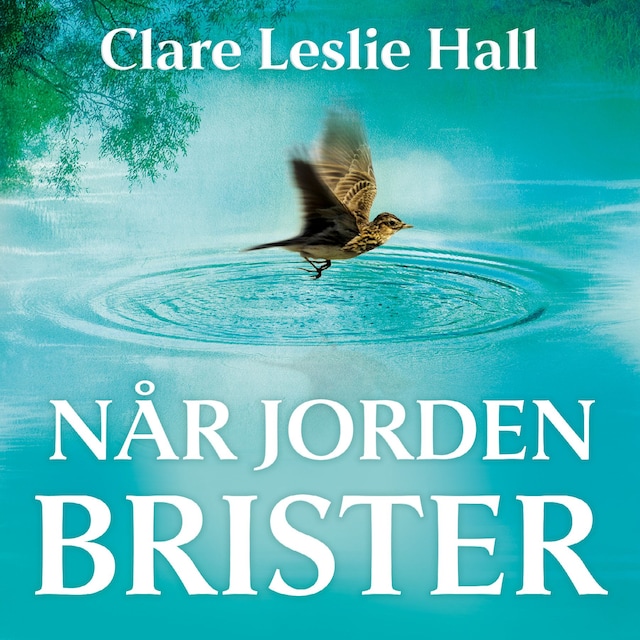 Bokomslag for Når jorden brister