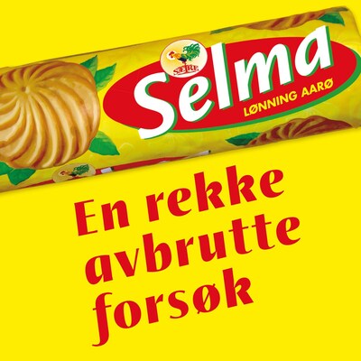 En rekke avbrutte forsøk – lydbok – Selma Lønning Aarø