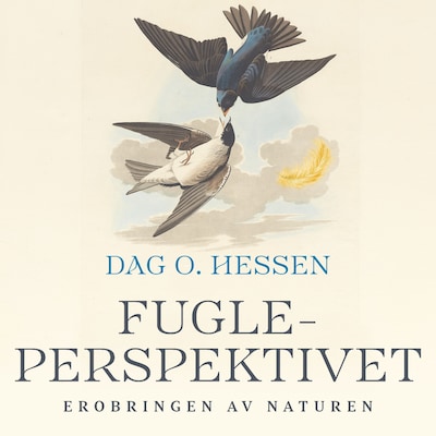 Fugleperspektivet