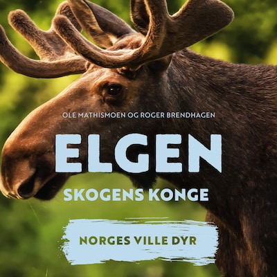 Elgen