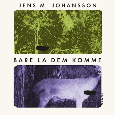 Bare la dem komme
