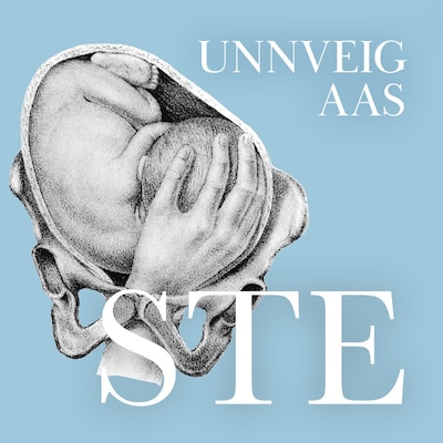 Ste – lydbok – Unnveig Aas