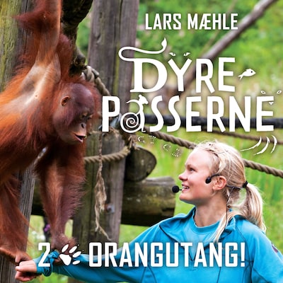 Orangutang!