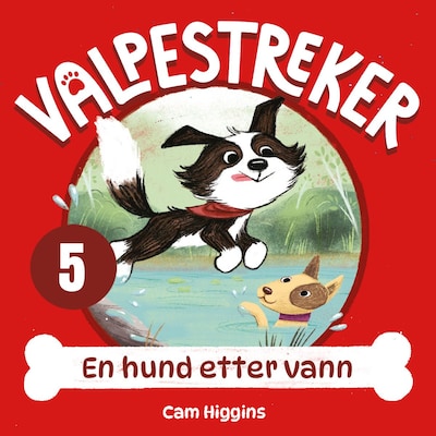 En hund etter vann