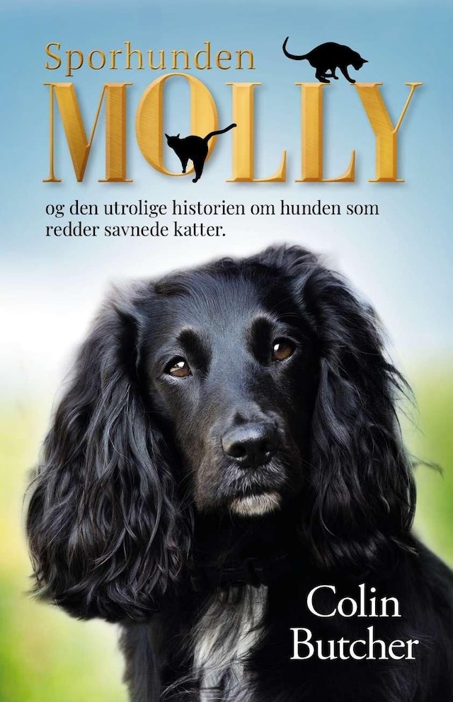 Bokomslag for Sporhunden Molly