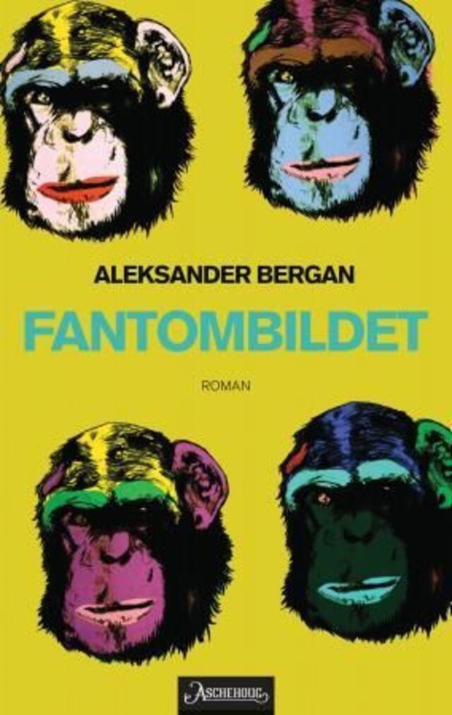 Bokomslag for Fantombildet