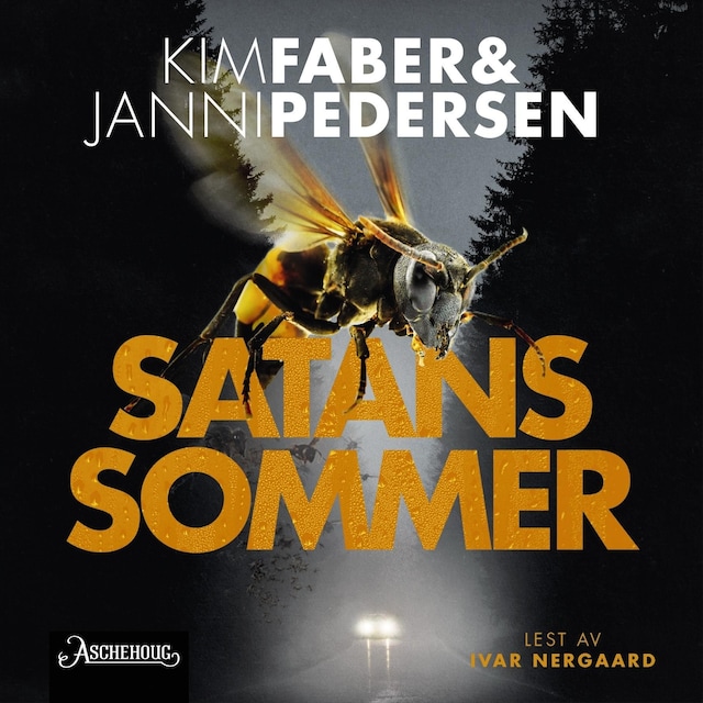 Bokomslag for Satans sommer