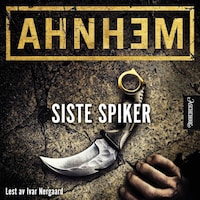 Siste spiker