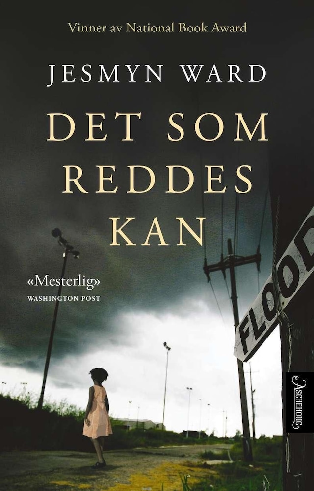 Bokomslag for Det som reddes kan