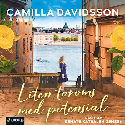 Liten toroms med potensial