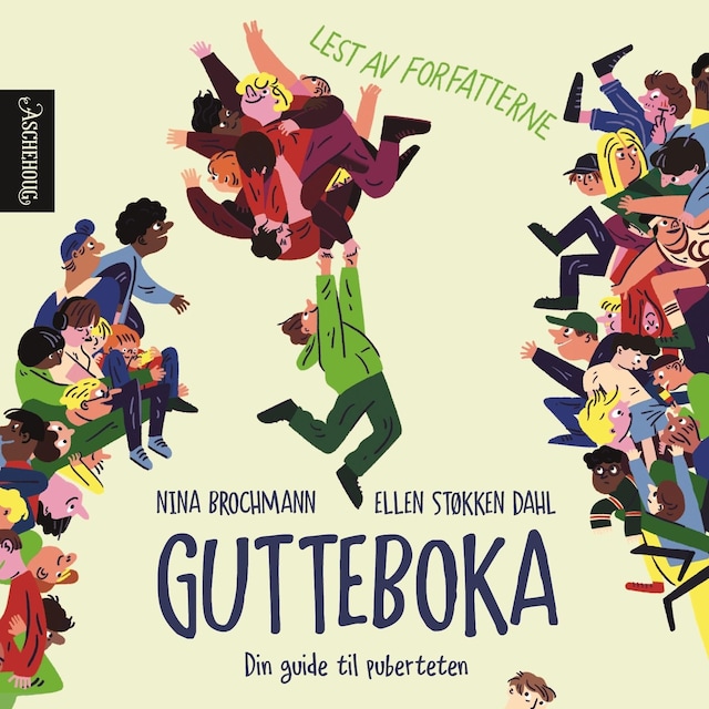 Bokomslag for Gutteboka