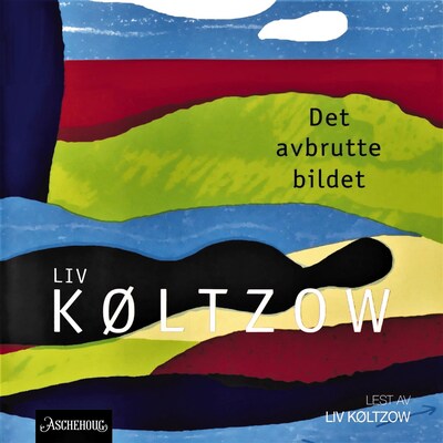 Det avbrutte bildet – lydbok – Liv Køltzow