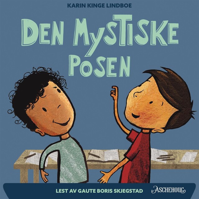 Bokomslag for Den mystiske posen