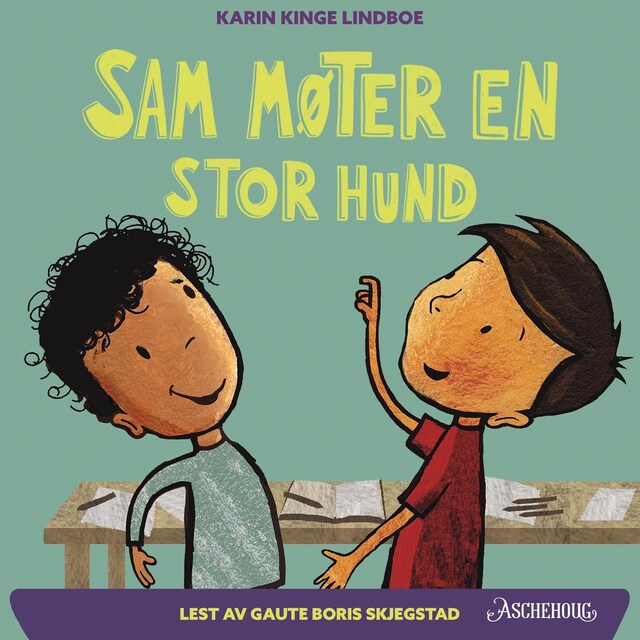 Bokomslag for Sam møter en stor hund