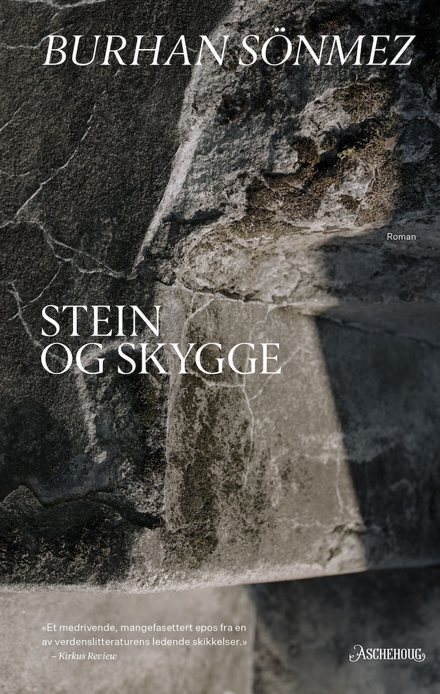 Bokomslag for Stein og skygge