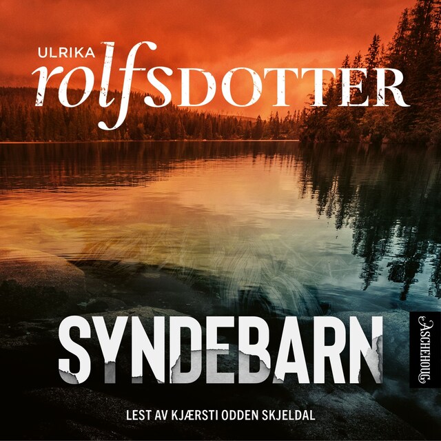 Book cover for Syndebarn