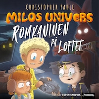 Romkaninen på loftet