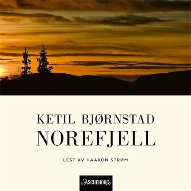 Bokomslag for Norefjell