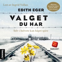 Valget du har