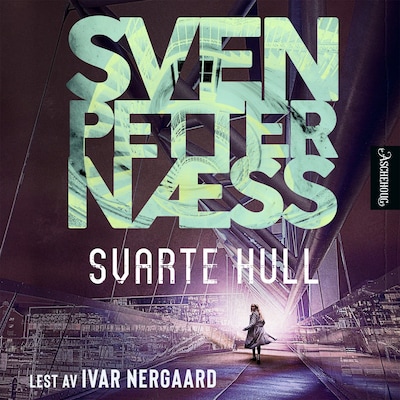 Svarte hull