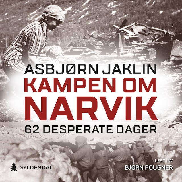 Bokomslag for Kampen om Narvik