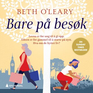 Bare på besøk bookCoverFor