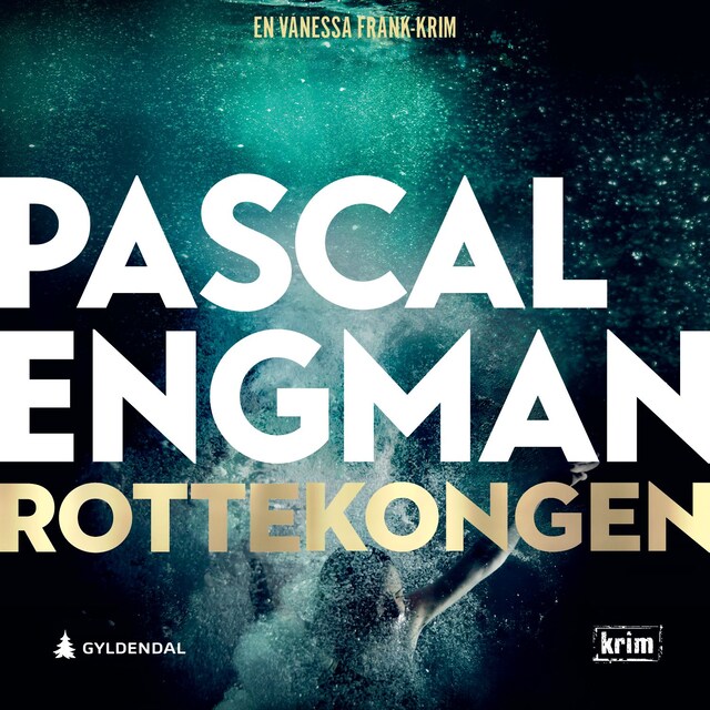 Book cover for Rottekongen