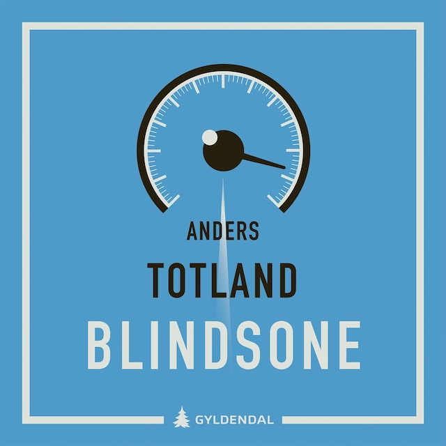 Bokomslag for Blindsone