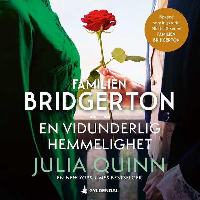 Bokomslag for En vidunderlig hemmelighet