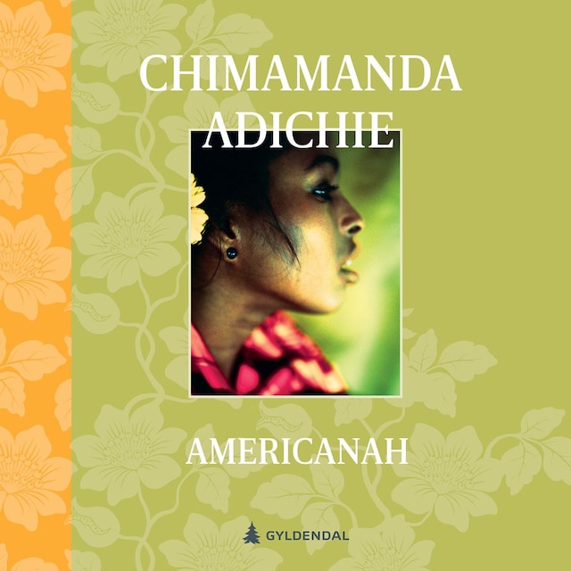 Bokomslag for Americanah