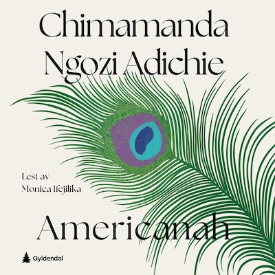 Americanah – lydbok – Chimamanda Ngozi Adichie