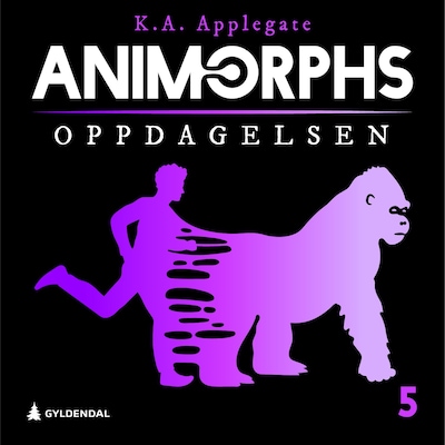 Oppdagelsen