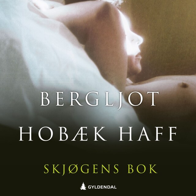 Bokomslag for Skjøgens bok
