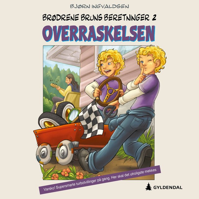 Bokomslag for Overraskelsen