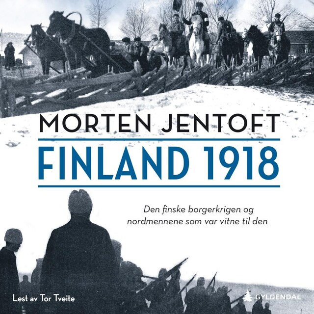 Bokomslag for Finland 1918