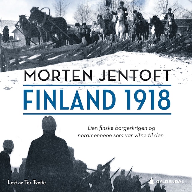 Bokomslag for Finland 1918