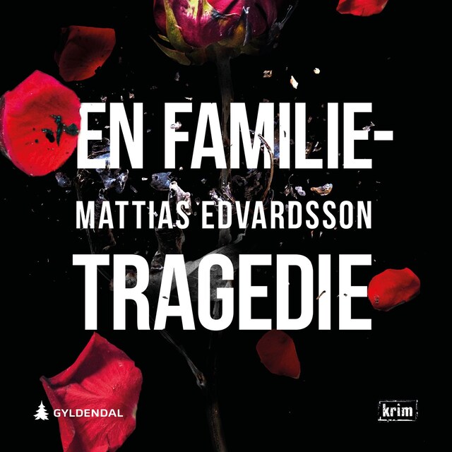 Bokomslag for En familietragedie