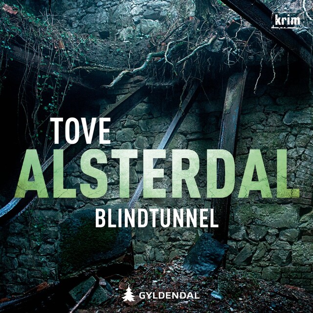 Bokomslag for Blindtunnel