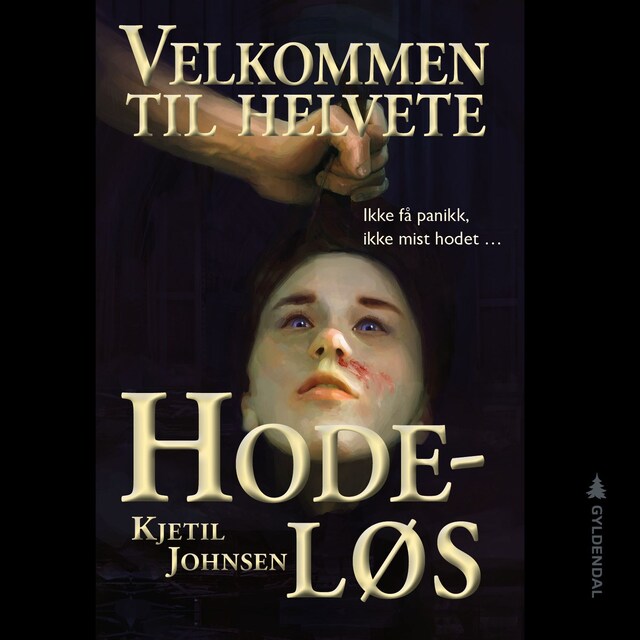 Bokomslag for Hodeløs