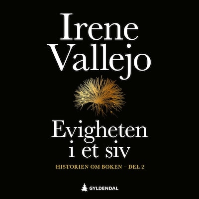 Evigheten i et siv