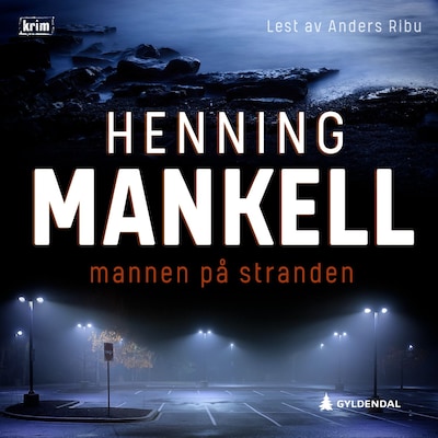 Mannen på stranden