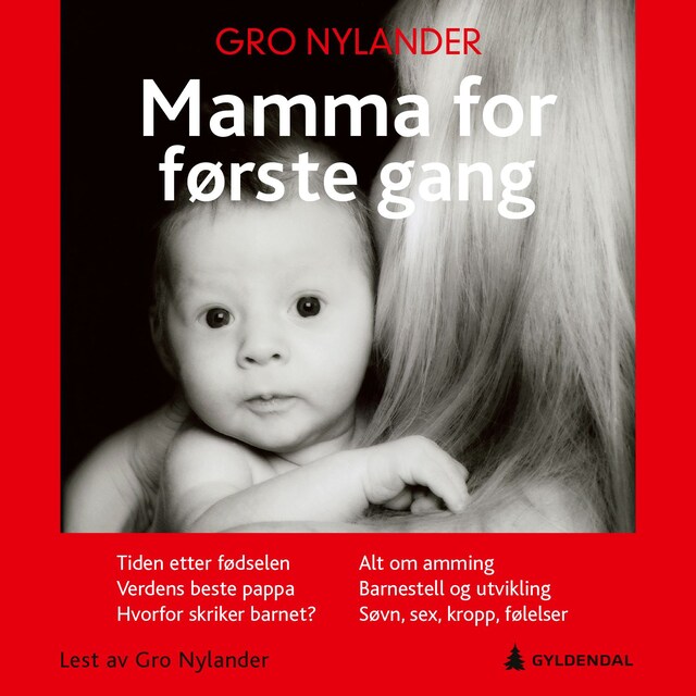 Bokomslag for Mamma for første gang