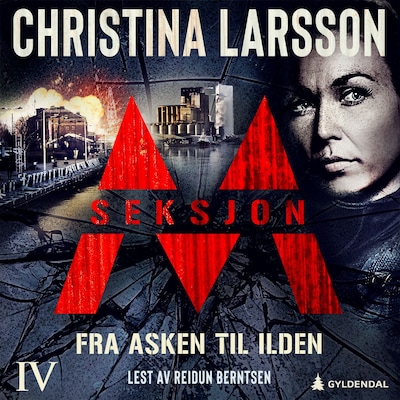 Seksjon M – lydbok – Christina Larsson