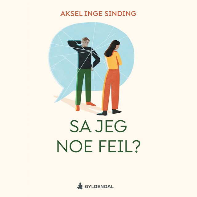 Bokomslag for Sa jeg noe feil?