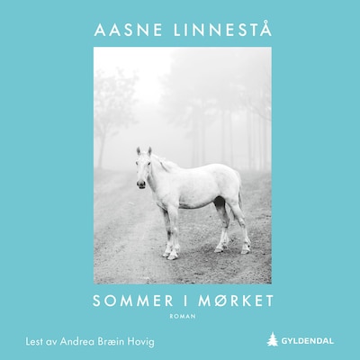 Sommer i mørket – lydbok – Aasne Linnestå