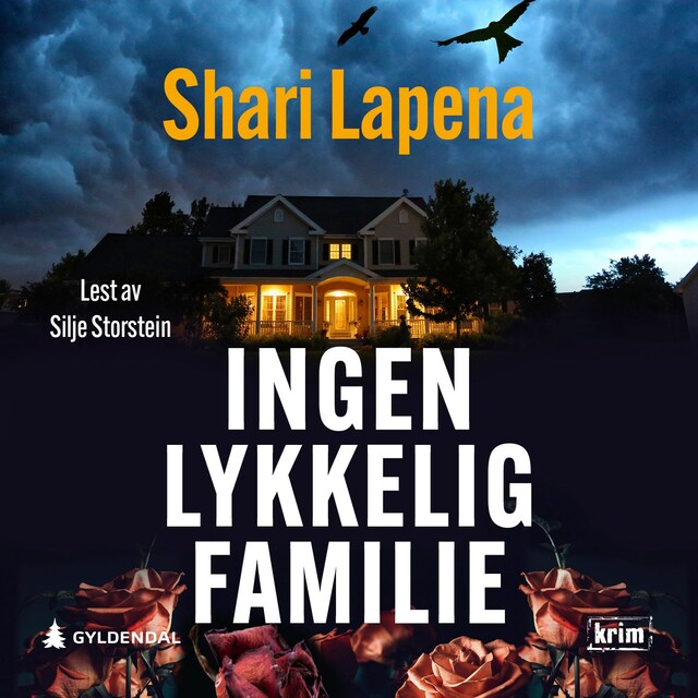 Bokomslag for Ingen lykkelig familie