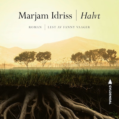 Halvt – lydbok – Marjam Idriss