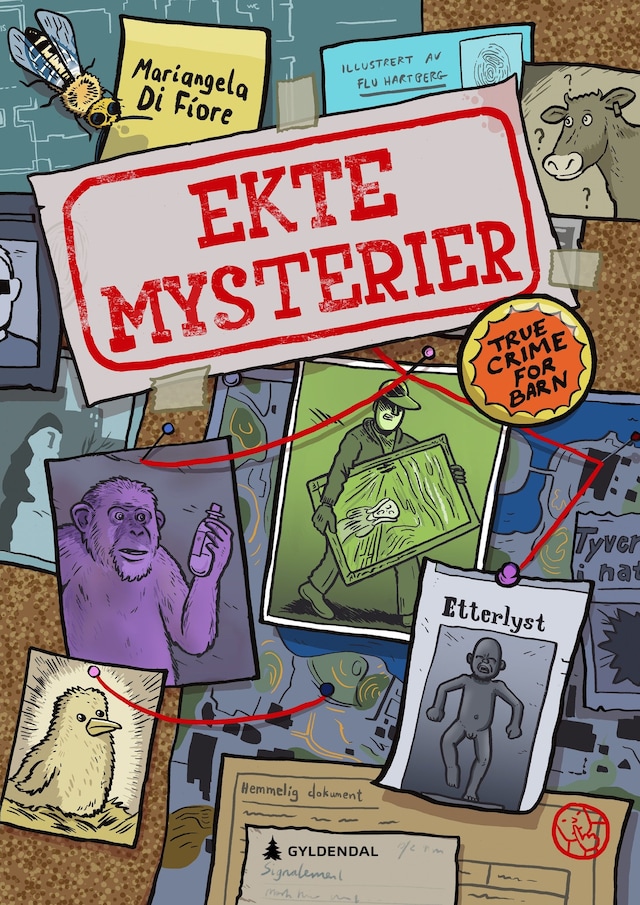 Bokomslag for Ekte mysterier