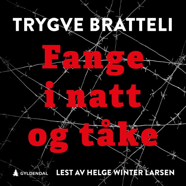 Bokomslag for Fange i natt og tåke